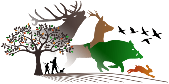 ouverture et clôture de la chasse pour la campagne 2024-2025 dans le département de l’essonne